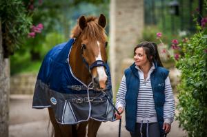 9 Things Horse Owners Love About Spring
