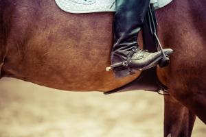 Major change to whip rules at British Showjumping