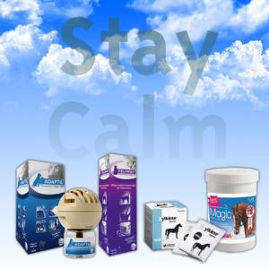 Pet Calming - Products in Focus