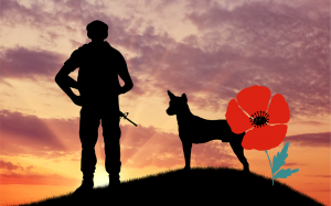 Remembrance Day - Animals in War - VioVet Blog