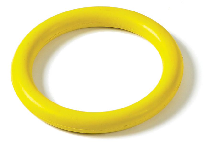Classic Rubber Ring 🐶 Dog Toy
