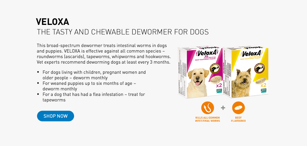 VELOXA wormer for dogs