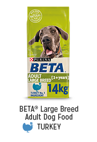 Shop for BETA Large Breed Adult Dog Food Turkey