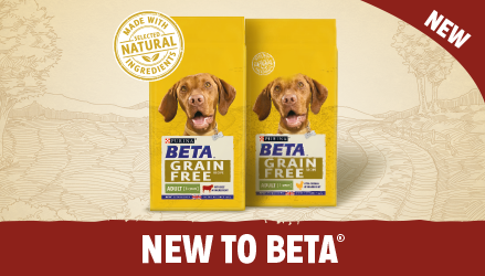 See what's new from the BETA range