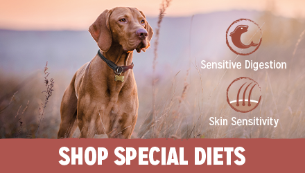 Shop for BETA Special Diets