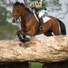 Fascinating facts about Badminton Horse Trials Image
