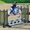 Claire Seaward's Arabian Horse - Khruga