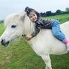 Lauren Gray (fester2012.2012)'s Shetland Pony - Mal