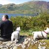 juliet matthews's West Highland White Terrier - Wesley