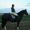 [REDACTED] [REDACTED]'s Irish Sport Horse - Nevada