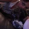 Lara Brearley's Lakeland Terrier - Ben