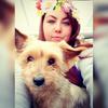 Jodie Stanley 's Yorkshire Terrier - Mollie Mackay