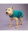 Digby & Fox Waterproof Dog Coat Teal
