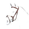 Equipe Flash Bridle Rope Noseband With Reins Brown