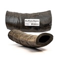 JR Pet Products Buffalo Horn Large for Dogs