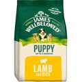 James Wellbeloved Puppy Dry Food Lamb & Rice