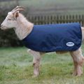 WeatherBeeta Goat Coats