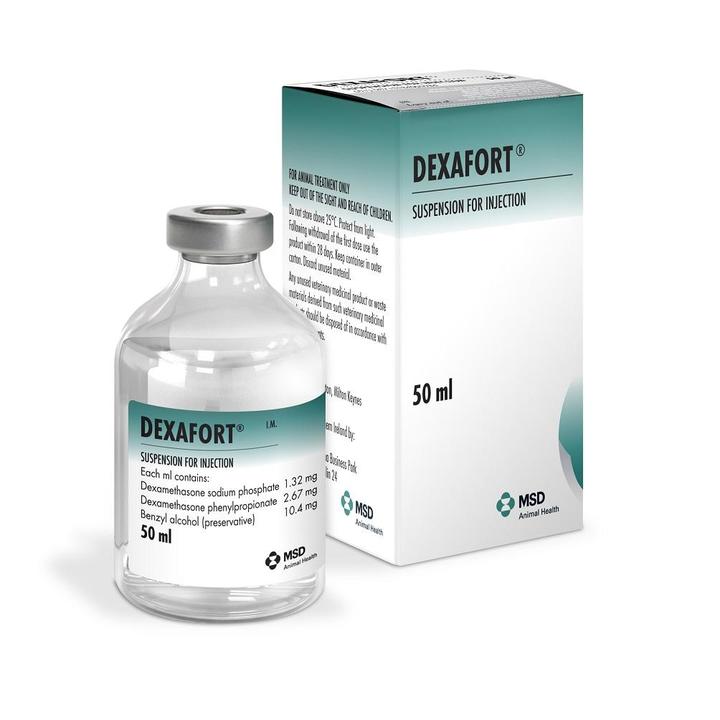 Dexafort Injection