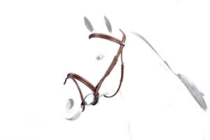 Equipe Brown Flash Bridle No Stress With Reins