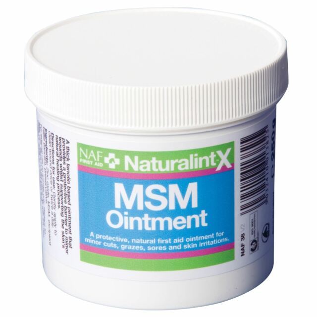NAF NaturalintX MSM Ointment for Horses