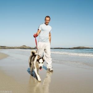 When is the best time to walk your dog?