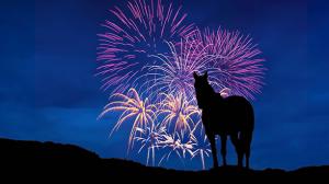 Keeping your horse calm through fireworks