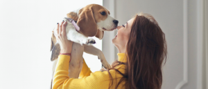 What dogs could benefit most from a raw diet?