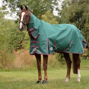 How To Measure Your Horse For A New Rug
