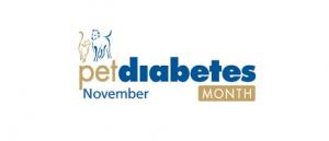 Pet Diabetes Awareness Part 1: What is Diabetes?