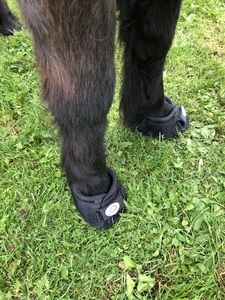 Image for review Boots just what I was looking for as required for a Shetland pony