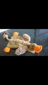 Image for review Toy Duck