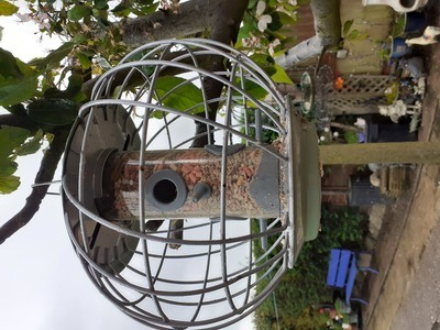 Image for review Wild bird feeder