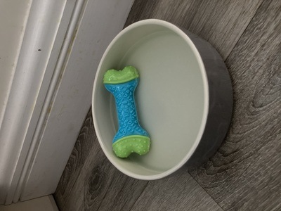 Image for review Textured toy great for licking