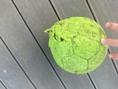 Image for review Jolly pets, jolly soccer ball