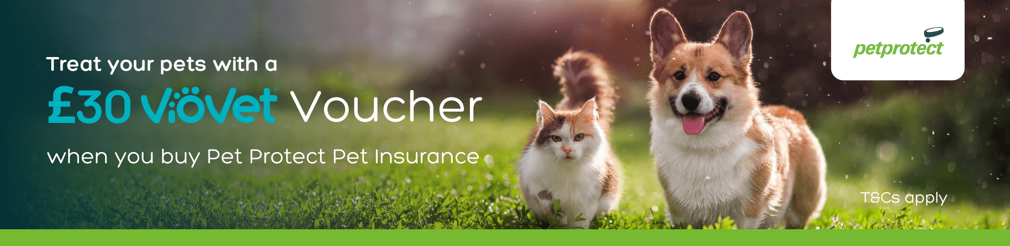 Treat your pets to a £30 VioVet Voucher when you buy Pet Protect insurance