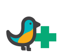 Bird Medicines