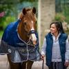 9 things horse owners love about spring Image