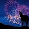 Keeping your horse calm through fireworks Image