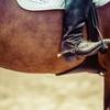 Major change to whip rules at British Showjumping Image