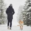 How To Look After Your Pet This Winter Image