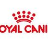 Royal Canin FCN Image