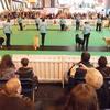 A day at Crufts 2014 Image