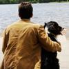 Dogs help veterans combat PTSD Image