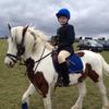 Linda Vaughan's Irish Sport Horse - Hector