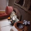 Fiona Cluer's Alaskan Husky - Ollie