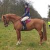 Victoria Grosset's Irish Sport Horse - Joan