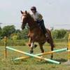 Elizabeth  Graney 's Irish Sport Horse - Spike