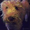 Joan Haque's Soft Coated Wheaten Terrier - Pretzel