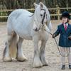 Elanor Osborne's Gypsy Vanner Horse - Aurora