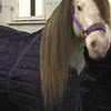 Lynne Holbrook 's Gypsy Vanner Horse - Zoey